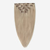 Invisible Clip In - Ash Blonde 17B