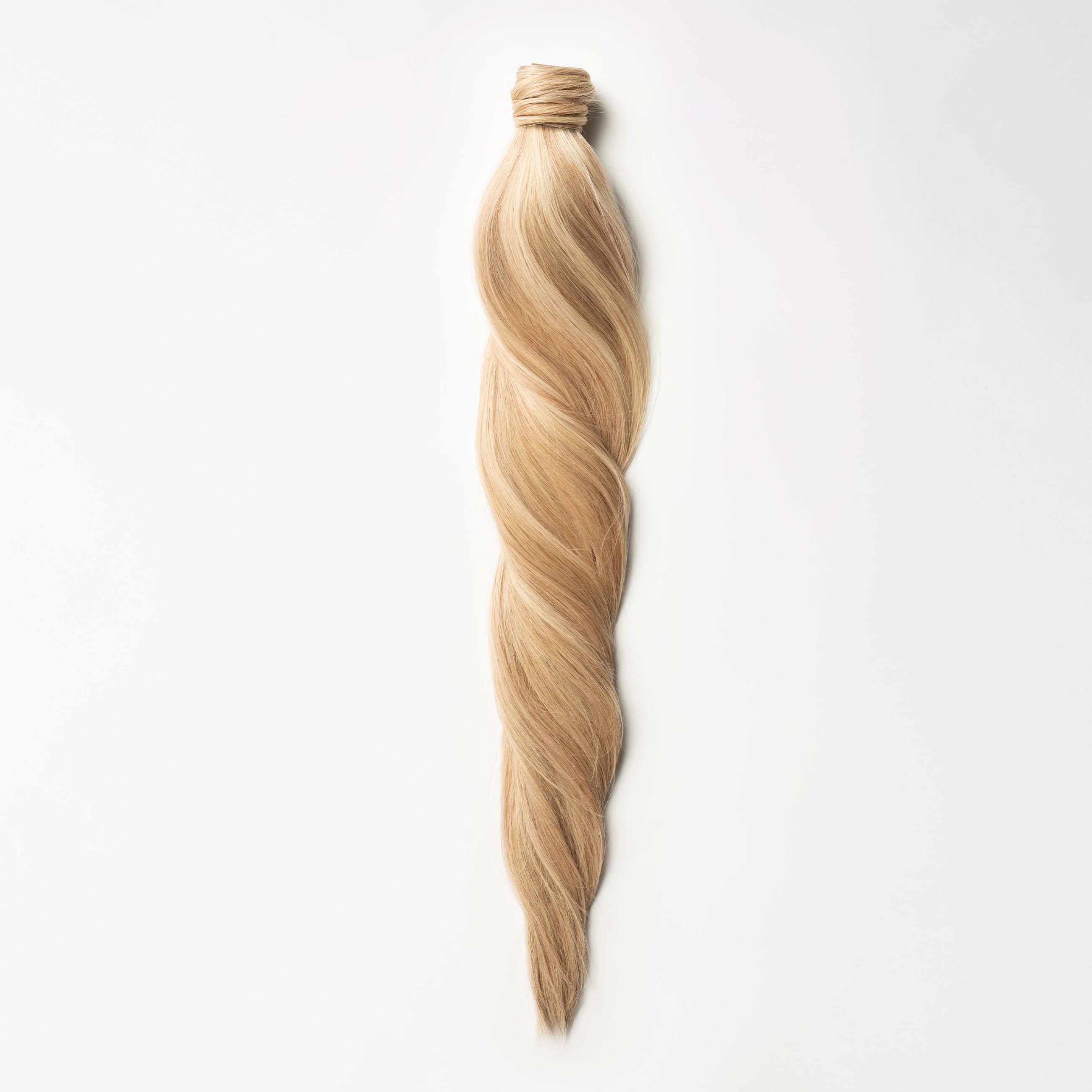 Ponytail Extensions - Honey Blonde Mix 10/22