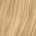 Invisible Clip In - Honey Blonde Mix 10/22