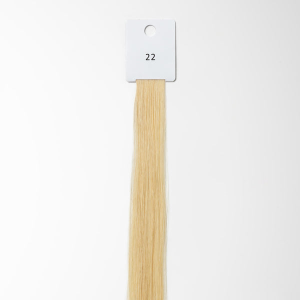 Color sample - Honey Blonde 15A