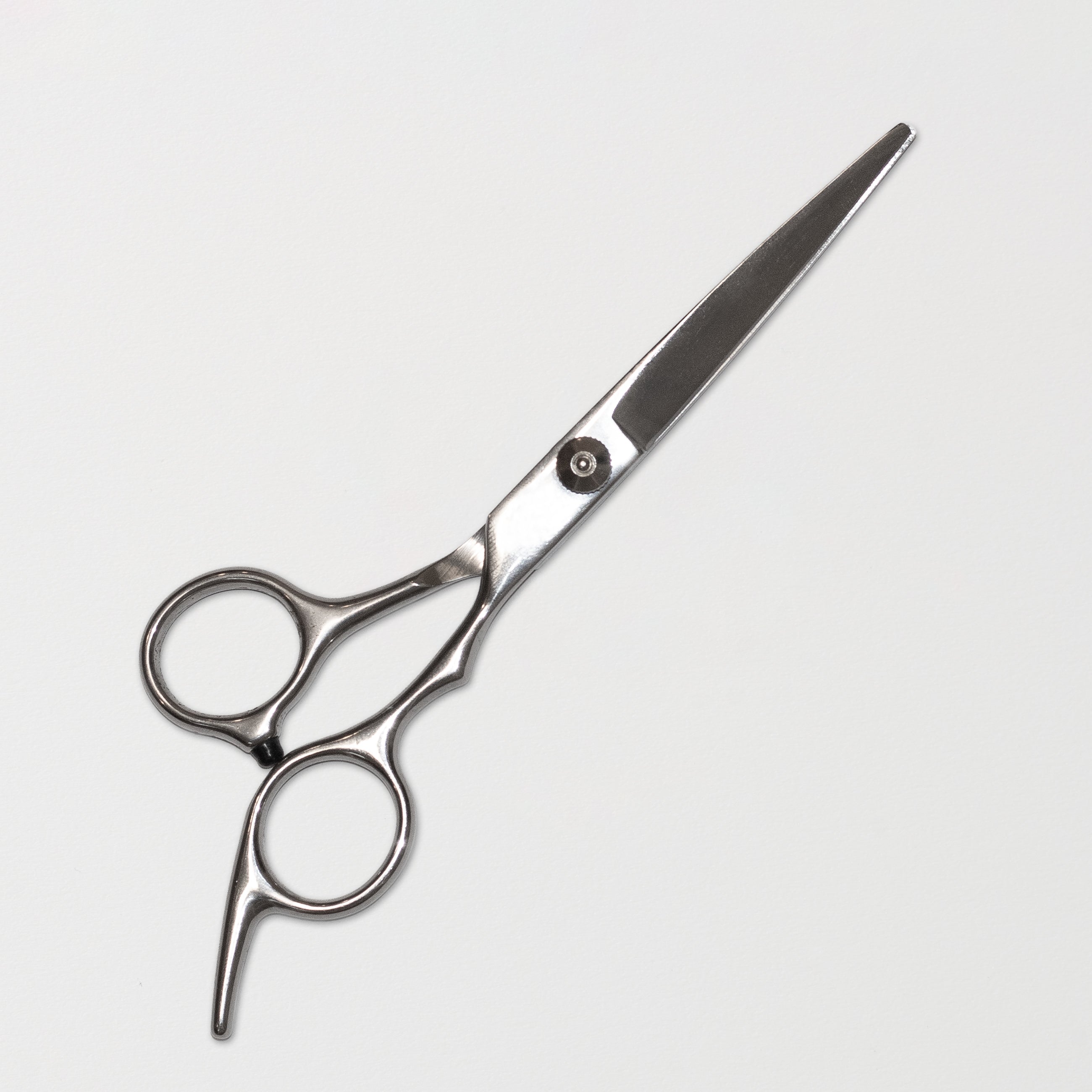 Extensionsschere
